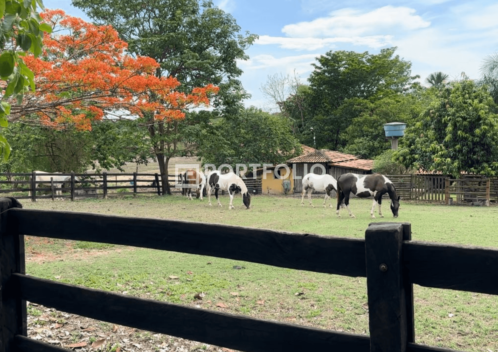 Fazenda à venda com 23 alqueires em Águas de São João, Goiás