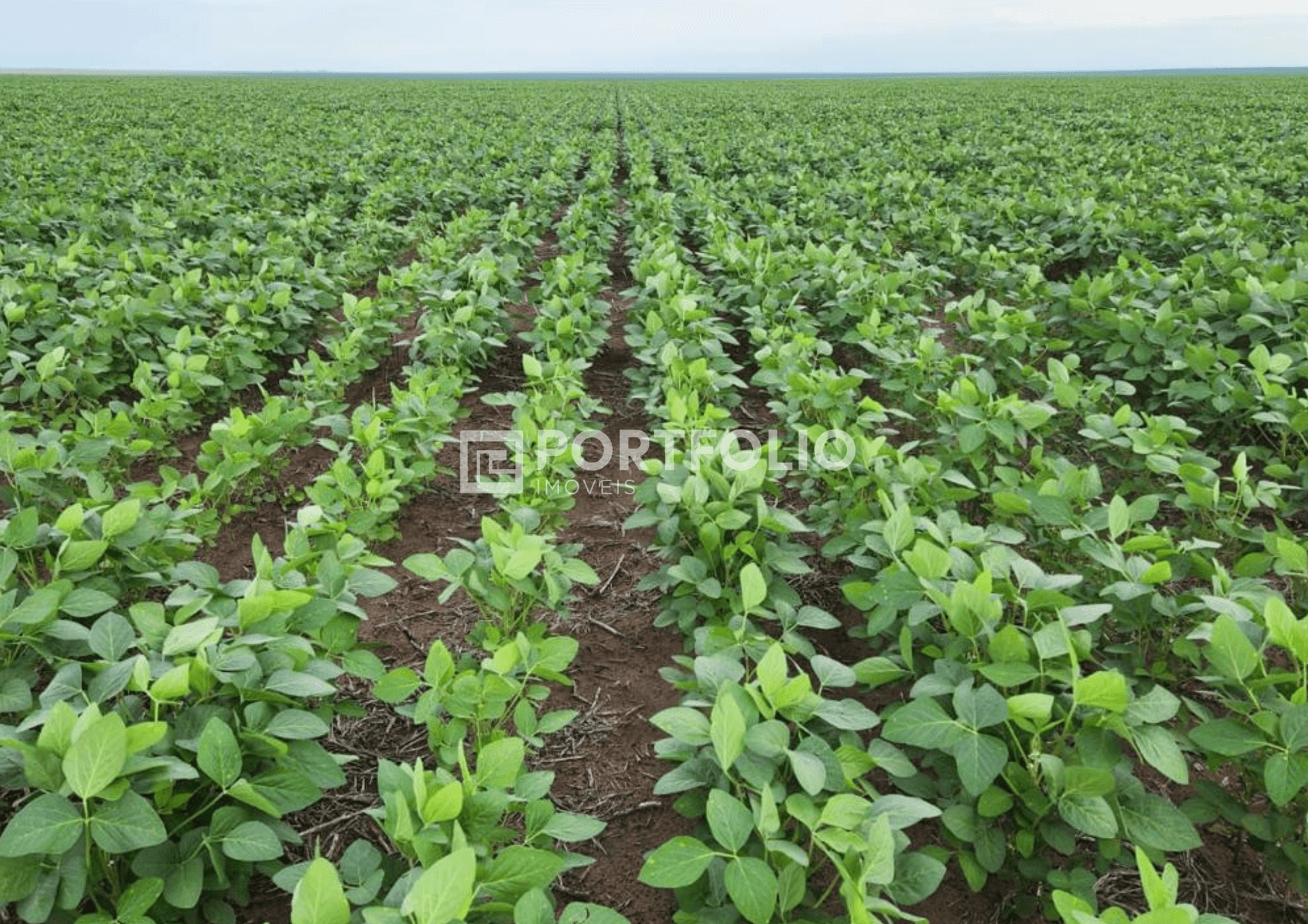 Fazenda à venda com 510 hectares em Água Boa, Mato Grosso