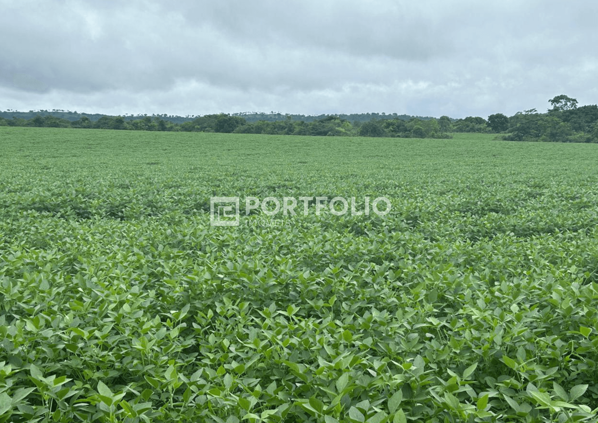Fazenda à venda com 510 hectares em Água Boa, Mato Grosso