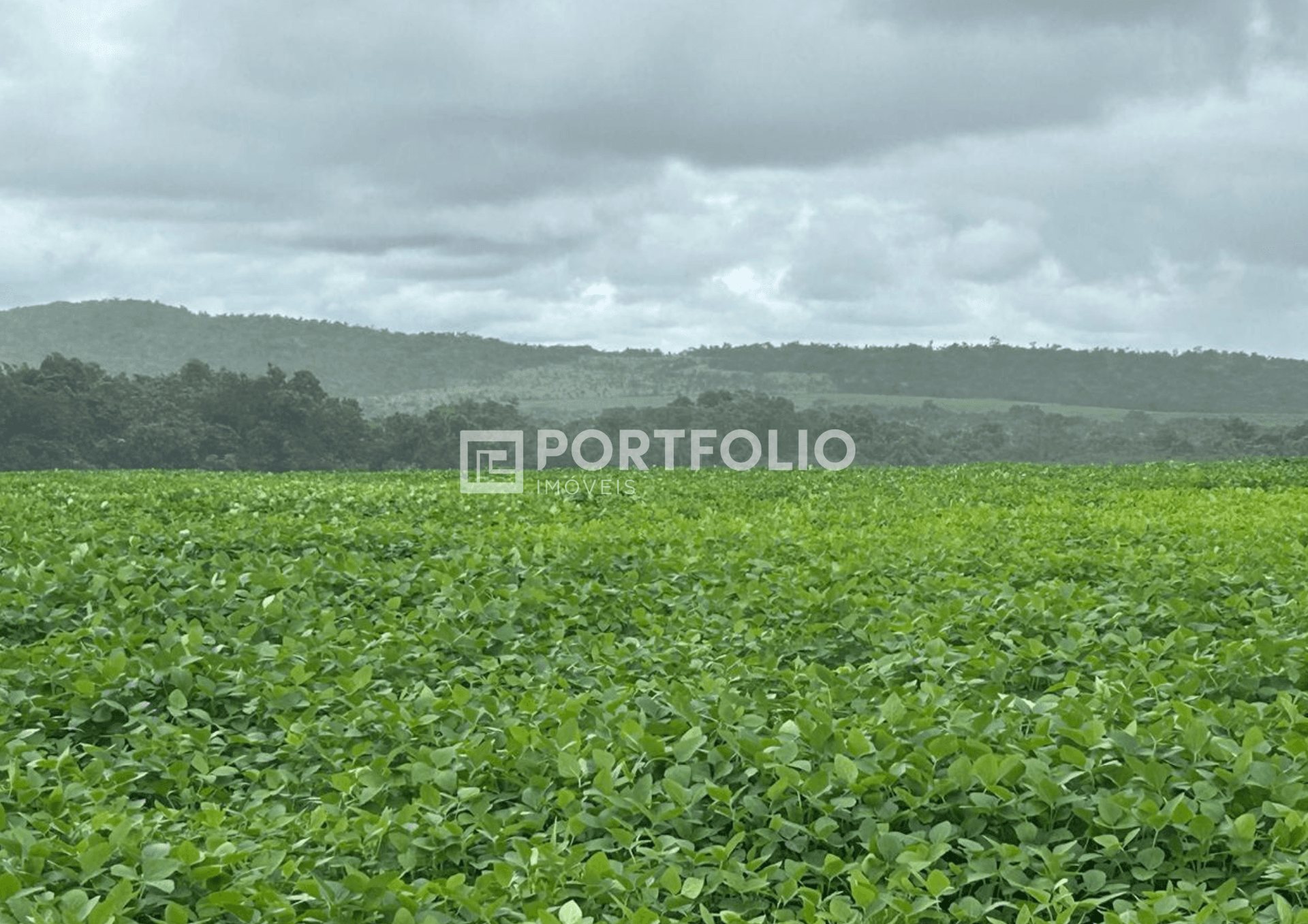 Fazenda à venda com 510 hectares em Água Boa, Mato Grosso