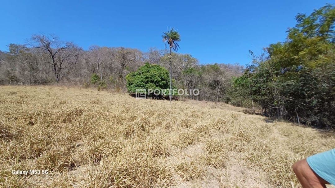 Fazenda com casa sede à venda, Zona Rural de  Jaraguá, Goiás
