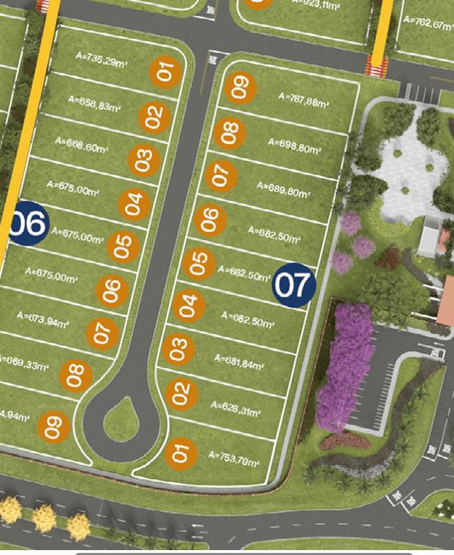 Planta QD 06 LT 05